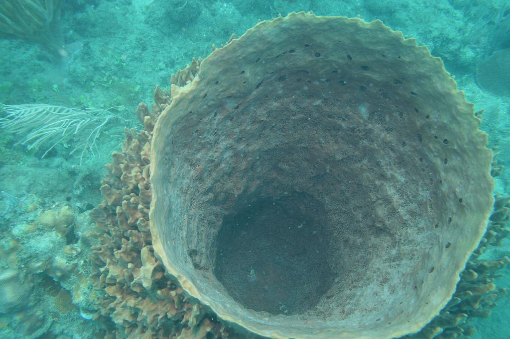 2008-05-17 17-26-05 H.JPG